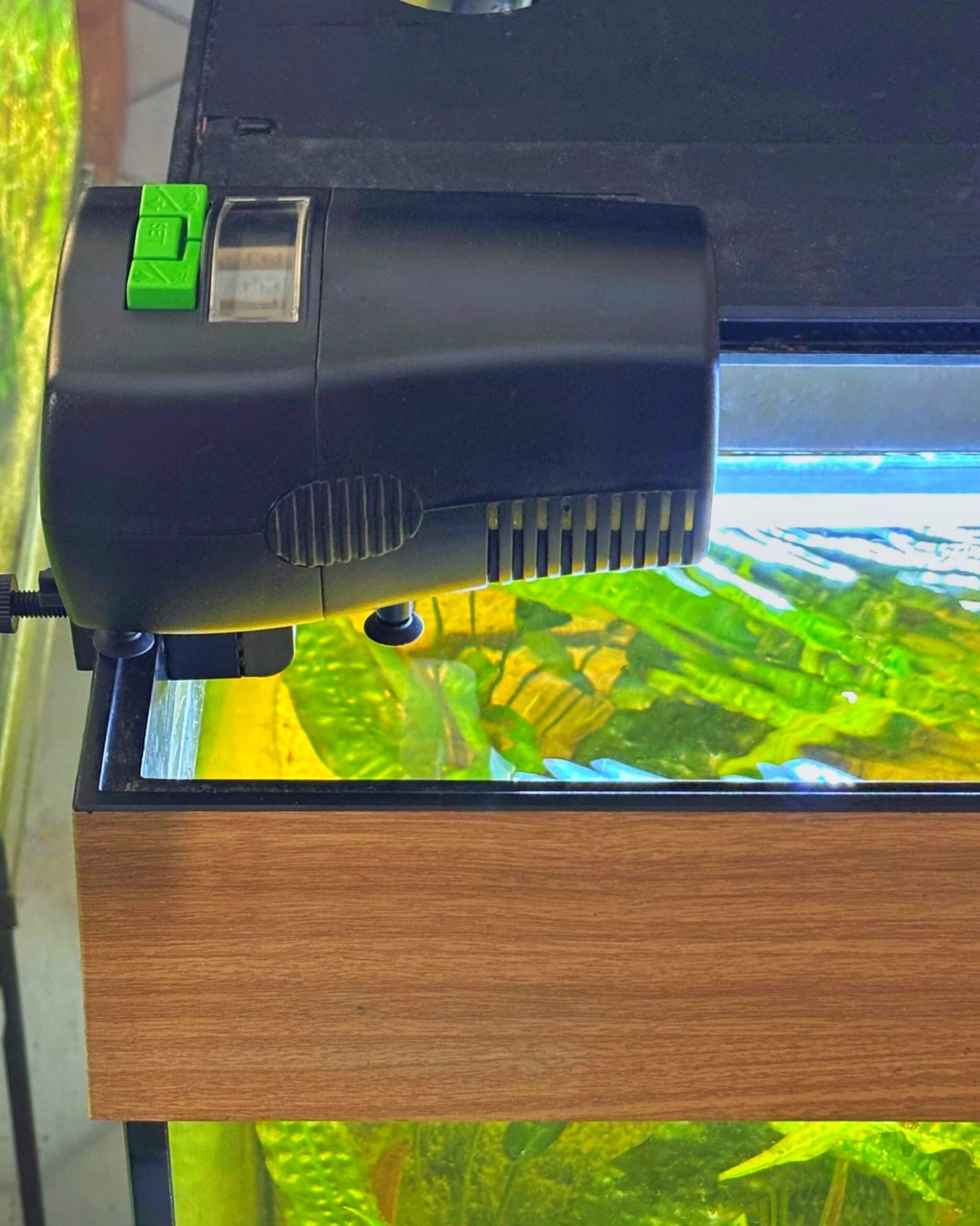 myFeeder, le distributeur automatique de nourriture pour tous vos poissons (eau douce et eau de mer)