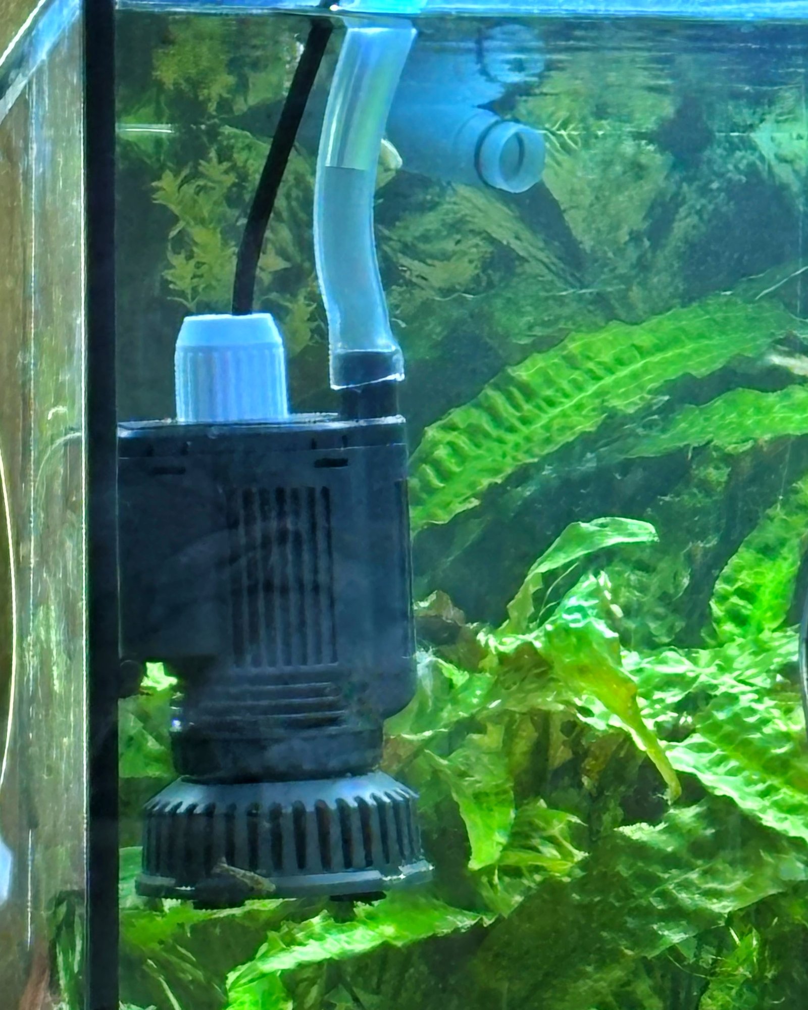 Terra Pump, la pompe du changement d’eau
