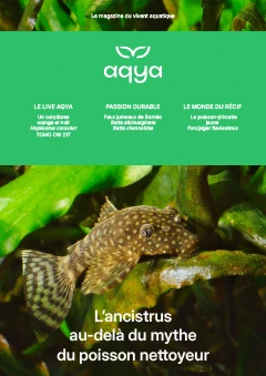 AQYA n°5