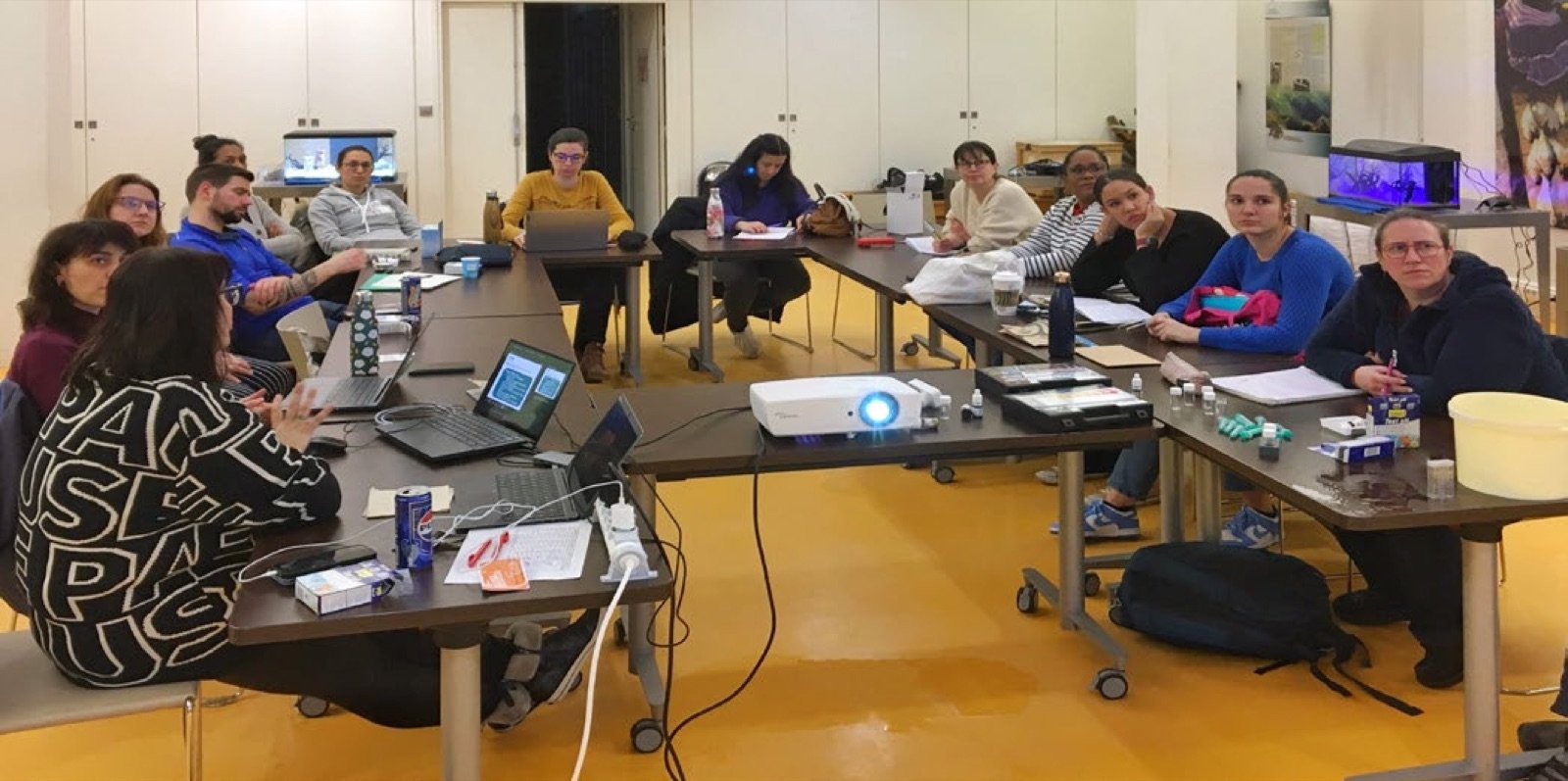 Activités pédagogiques présentées et argumentées aux enseignants stagiaires