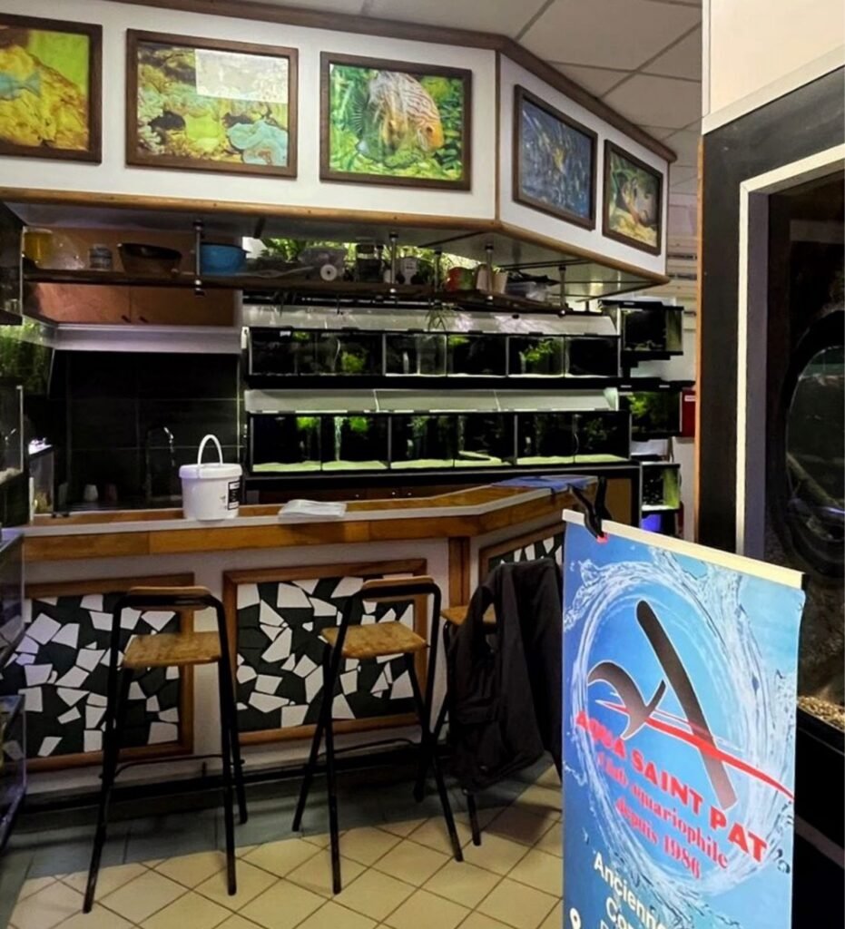 Le local de l’association AQUA SAINT PAT à Saint Pathus, installé dans l’ancienne école communale, avec ses étagères d’aquariums et le kakemono du club
