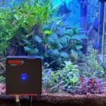 aquaAlert+ EHEIM installé dans un aquarium planté lors du test AQYA