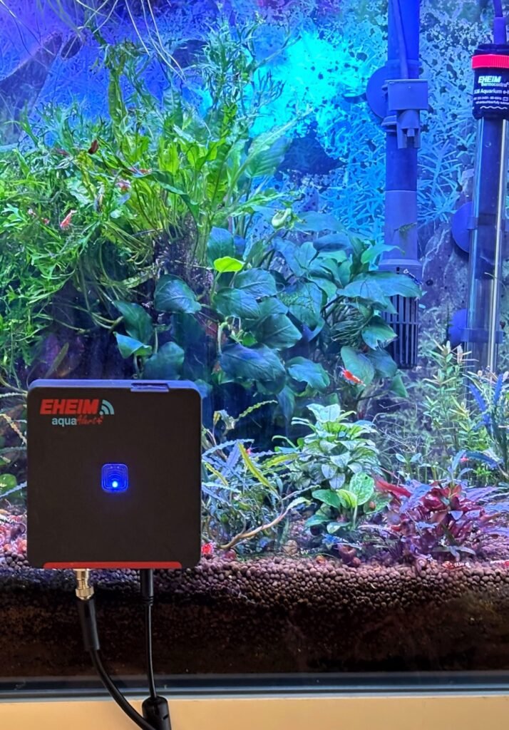 aquaAlert+ EHEIM installé dans un aquarium planté lors du test AQYA