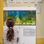 Une élève observe l'aquarium installé dans sa classe