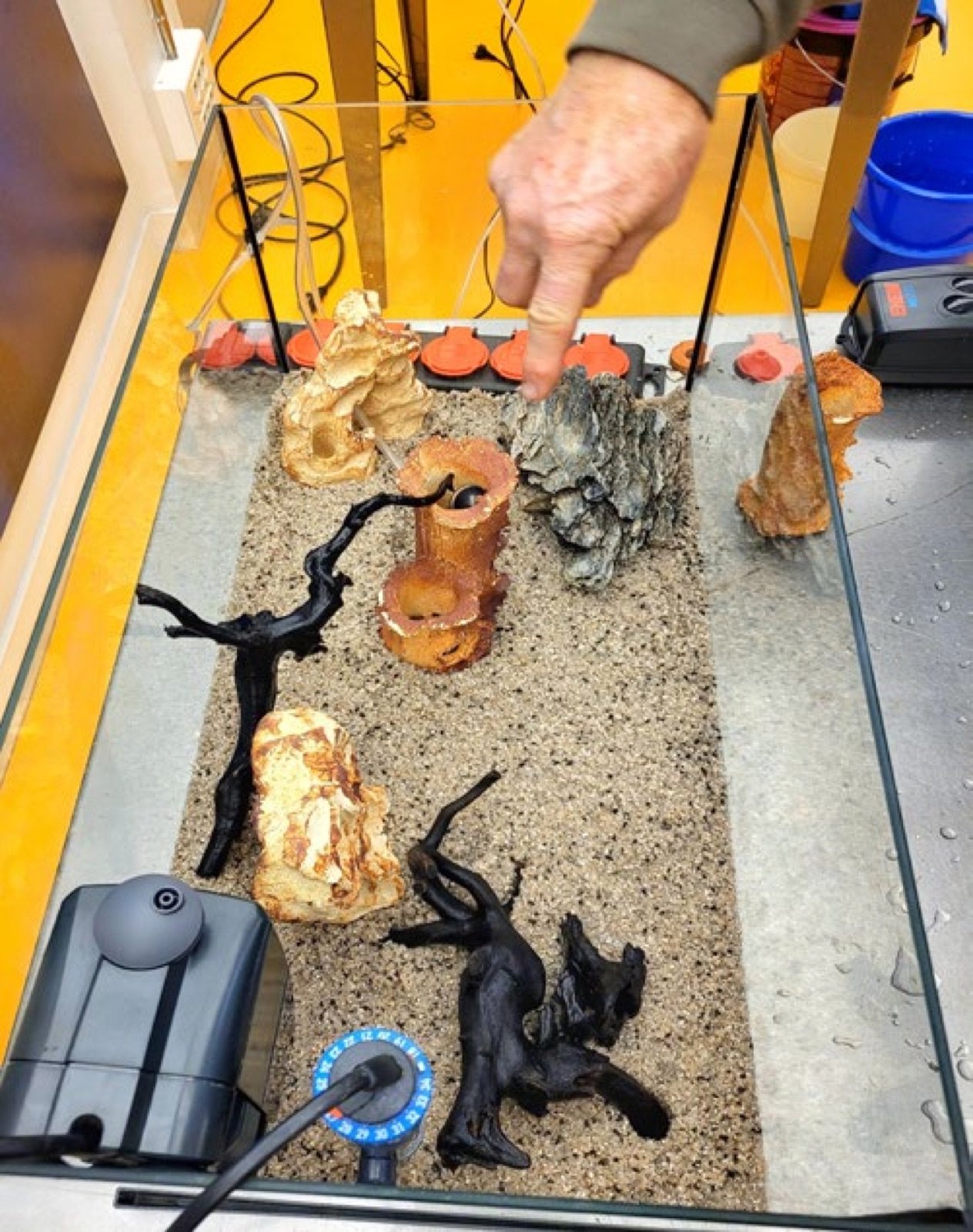 Aquarium décoré prêt à être rempli