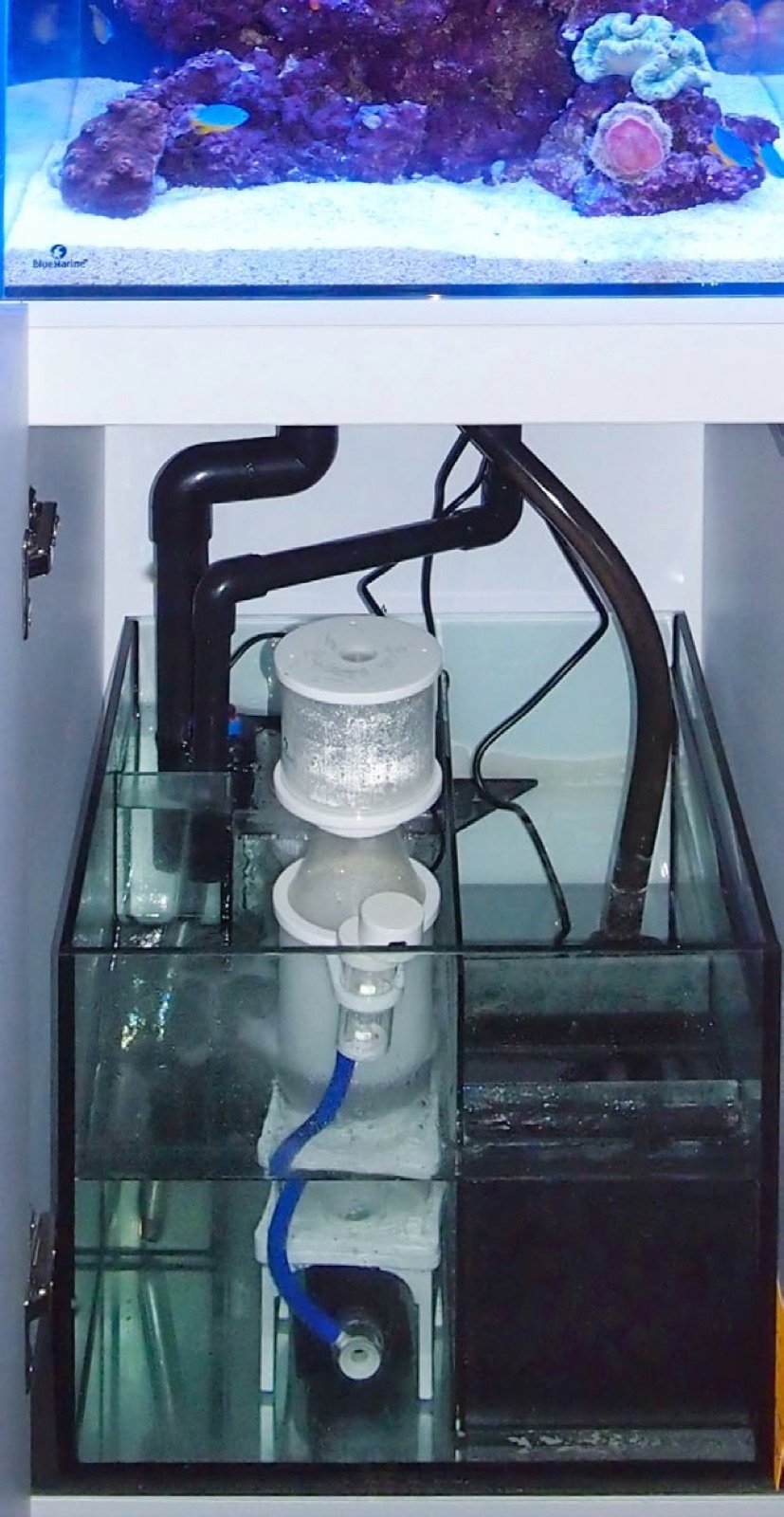 Matériel technique d'un aquarium récifal placé sous le bac