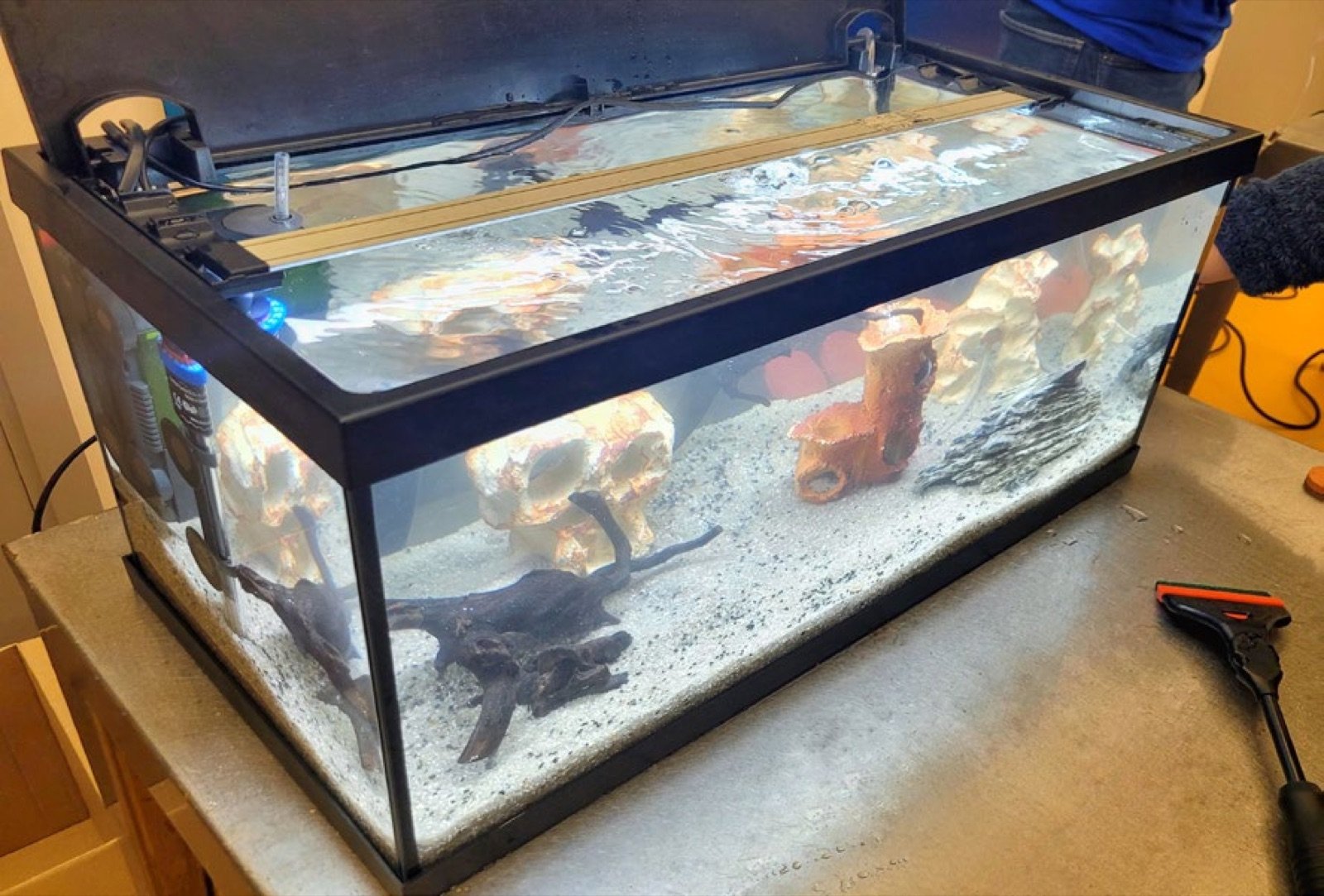 Aquarium rempli, les vitres sont nettoyées