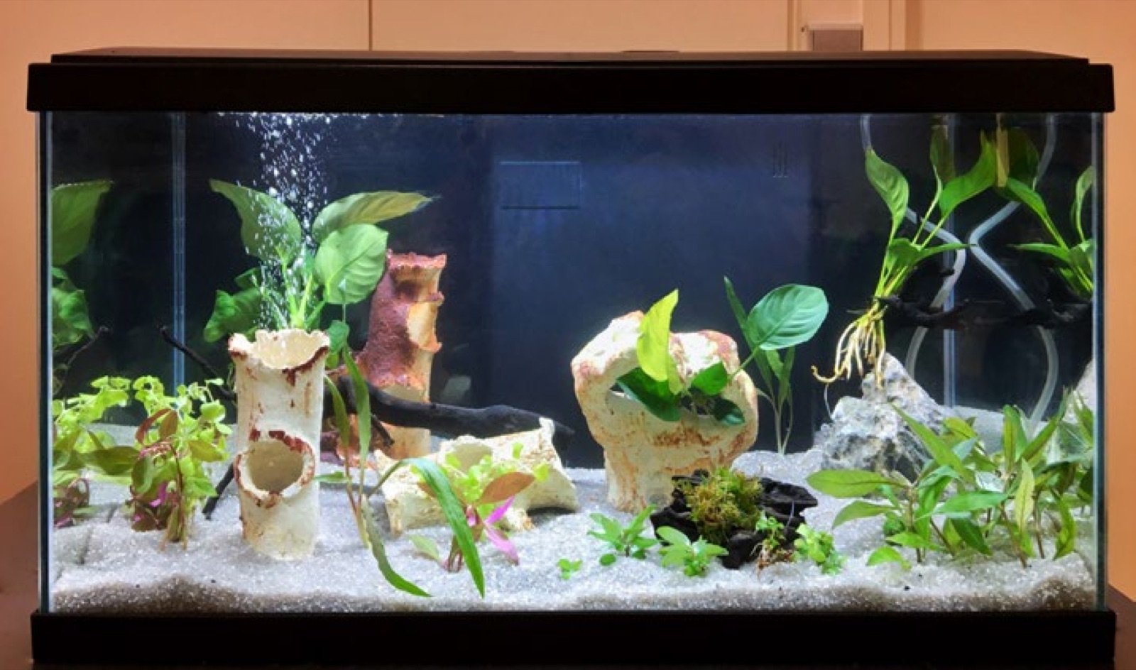 Aquarium de 60 cm réalisé par les stagiaires pendant la session 2026