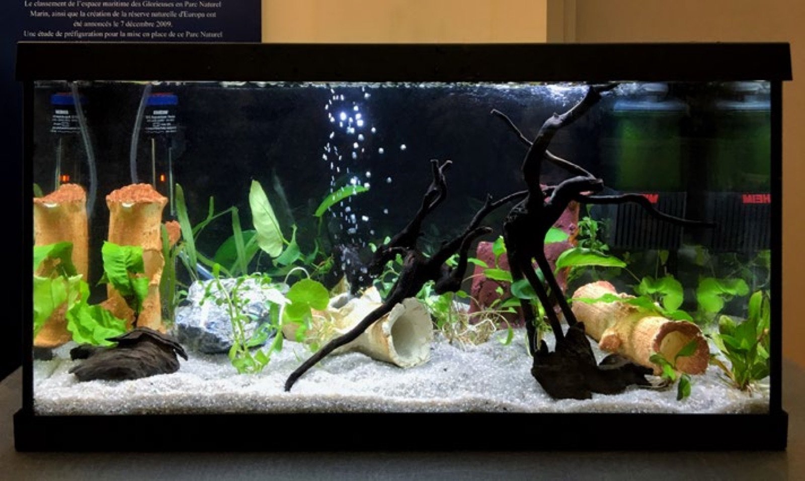 Aquarium de 60 cm réalisé par les stagiaires pendant la session 2026
