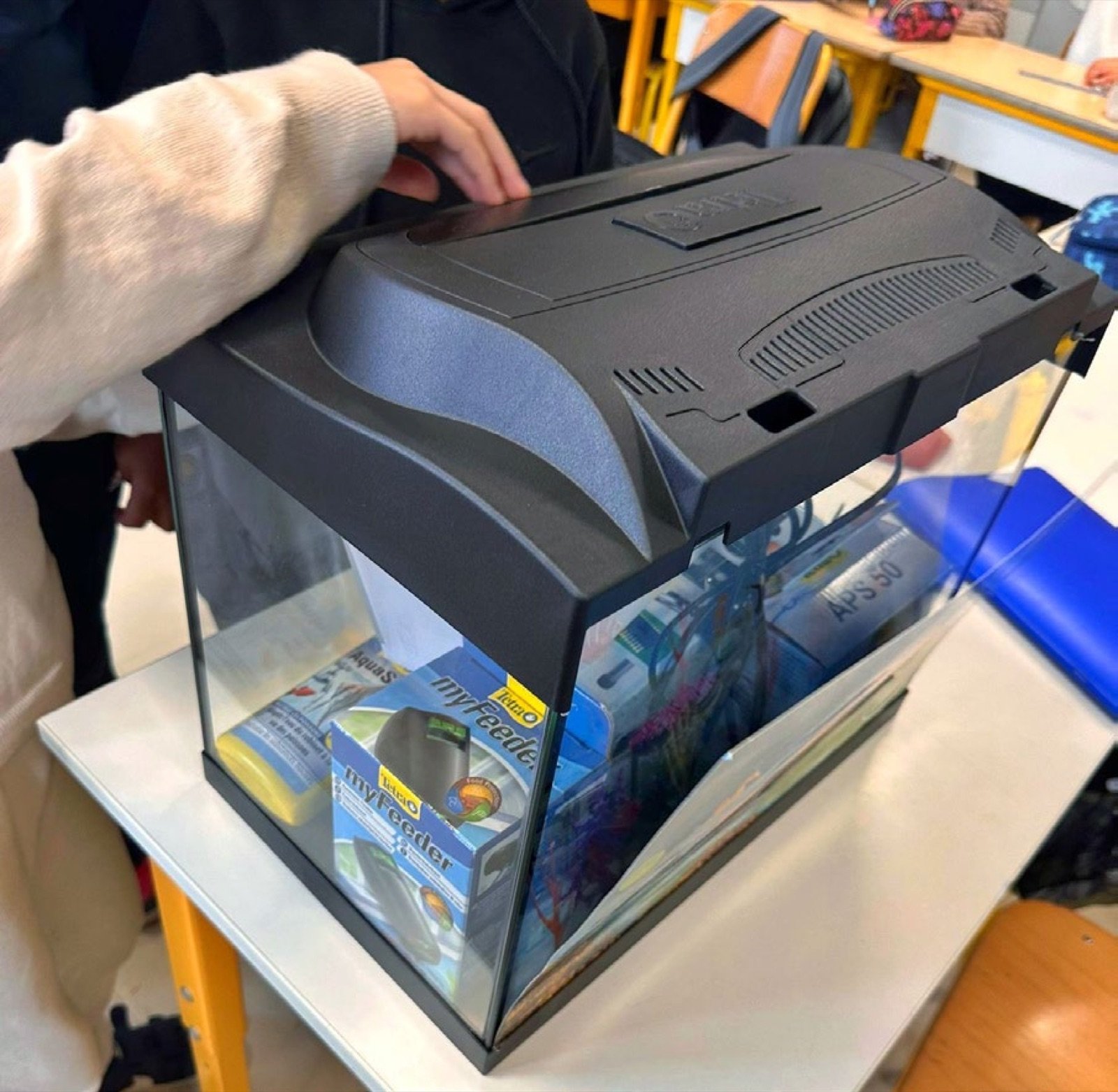Aquarium Tetra Kids de 30 litres arrivé en classe