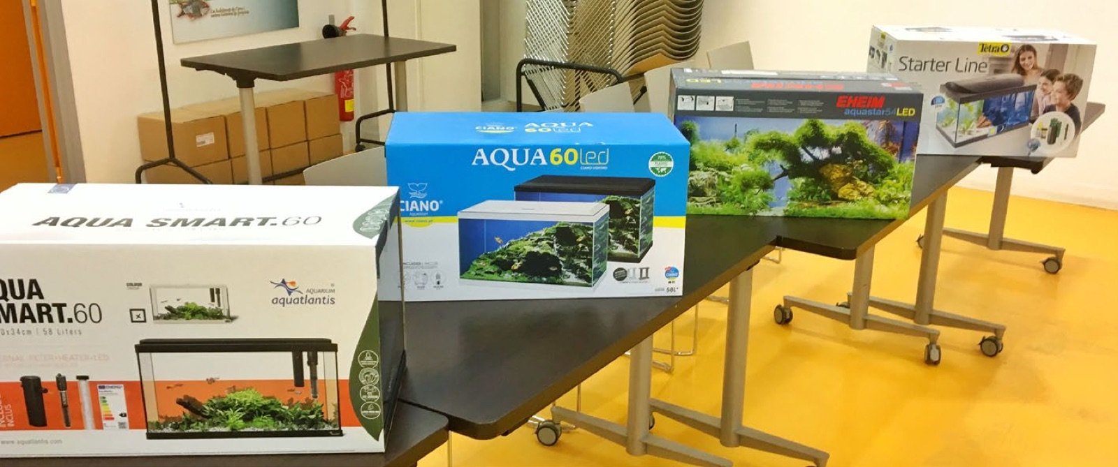 Aquariums de 60 cm offerts par les marques pour la formation Aquarium en classe