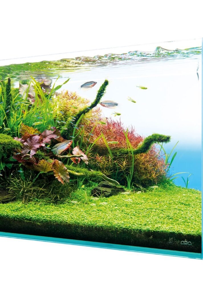 Aquascape en composition monticule vu de profil, plantes rouges et vertes denses sous la surface