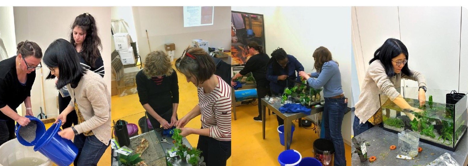 Des enseignants installent un aquarium pendant la formation : lavage du sable, plantation, mise en eau