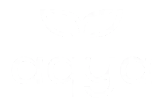 aqya logo blanc