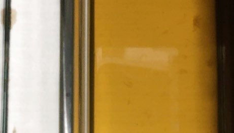 Eau d'aquarium colorée par les tanins après trois semaines sans les résines