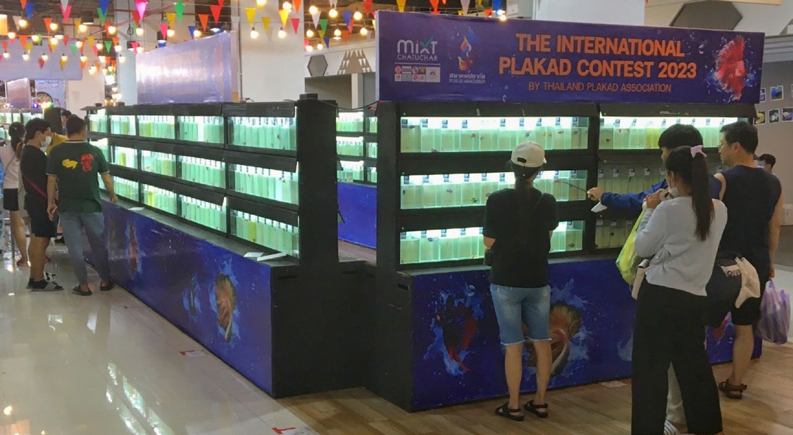 Concours international de combattants à Bangkok