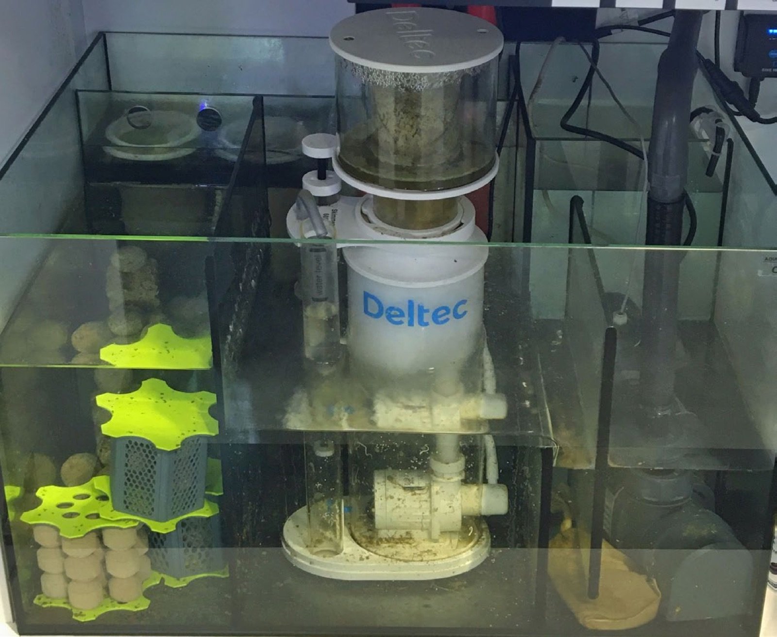Décantation sous l'aquarium intégrant un écumeur, adaptée à la maintenance du gobie de Rainford