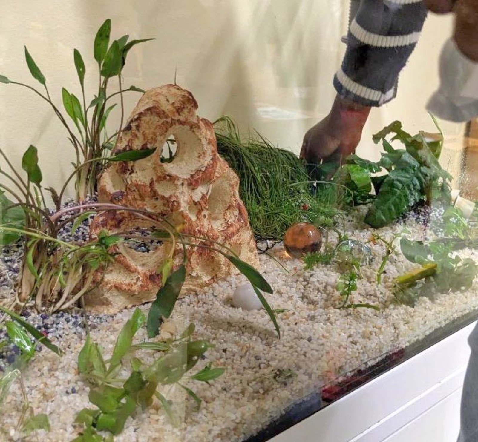 Décor de l'aquarium avec billes, céramique et roches avant la mise en eau