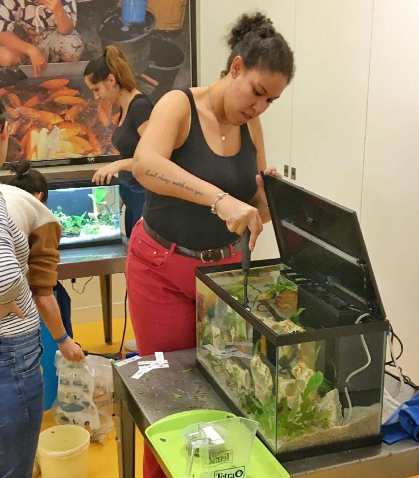 Derniers ajustements décoratifs sur un aquarium