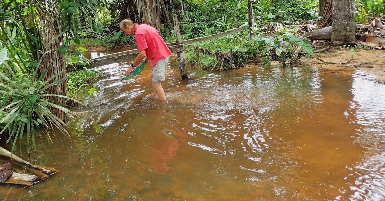 Didier Granet observe la surface de l’eau d’un ruisseau amazonien