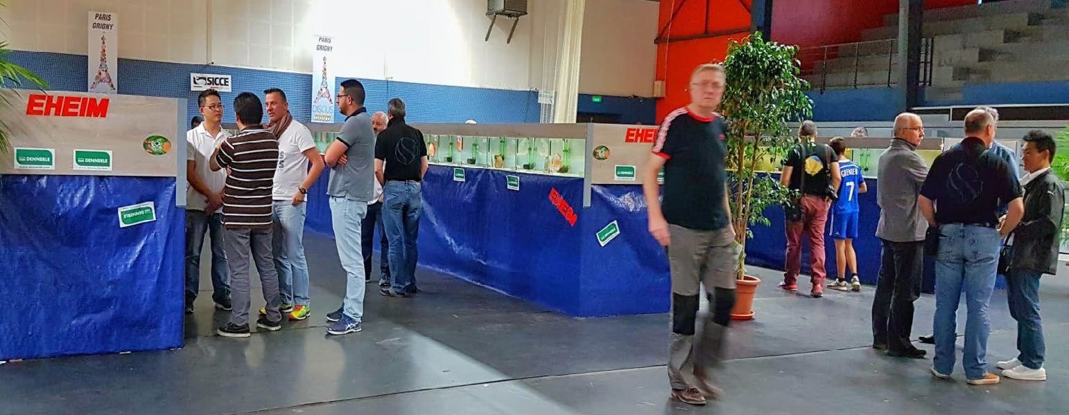 Visiteurs devant les cuves lors du concours de discus EDA à Grigny