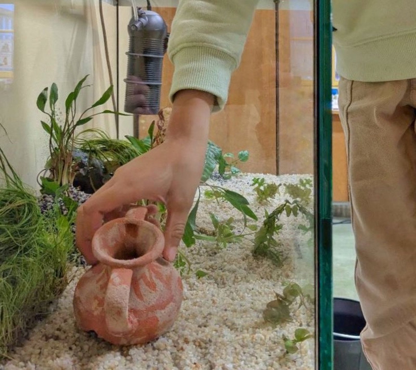 Mise en place d'une poterie dans le décor de l'aquarium