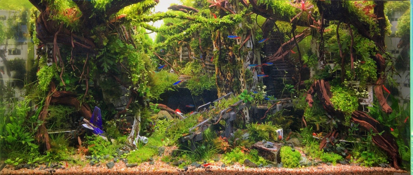 Aquascape Vestiges de demain inspiré du jeu Last of Us, vainqueur du concours Fishtival 2025, réalisation Wasin Lert Pornchaimongkol