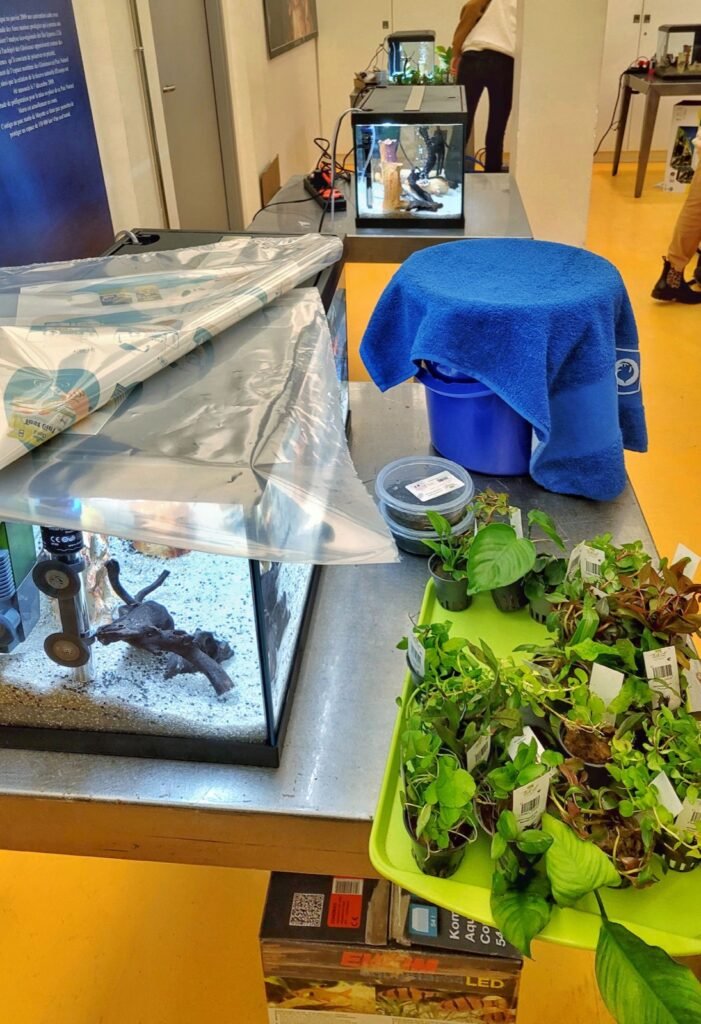Bac de démonstration et plantes lors de la formation Aquarium en classe à la Porte Dorée