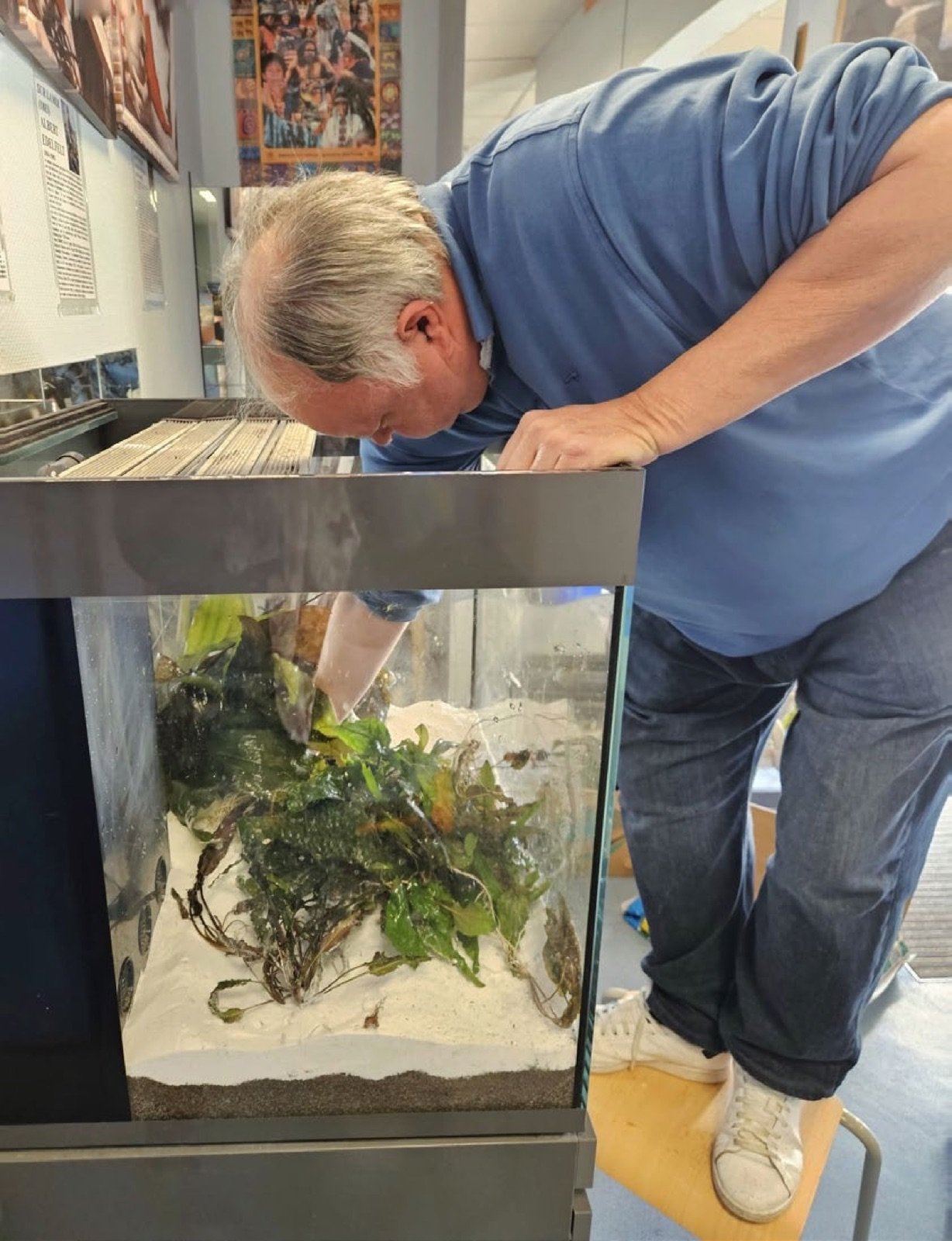 Installation d’un aquarium de 220 litres dans une école primaire