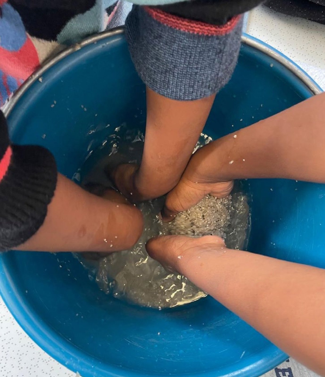 Lavage du sable de l'aquarium en classe
