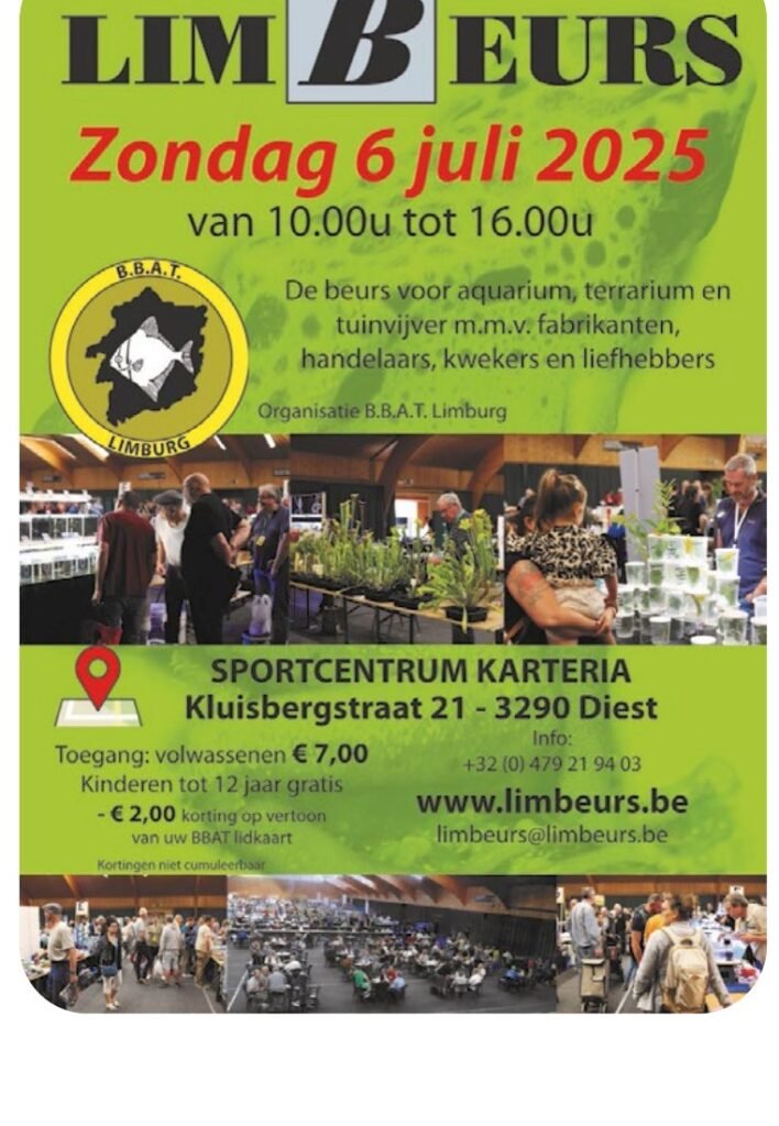 Affiche de la 33e bourse LIMBEURS à Diest, dimanche 6 juillet 2025