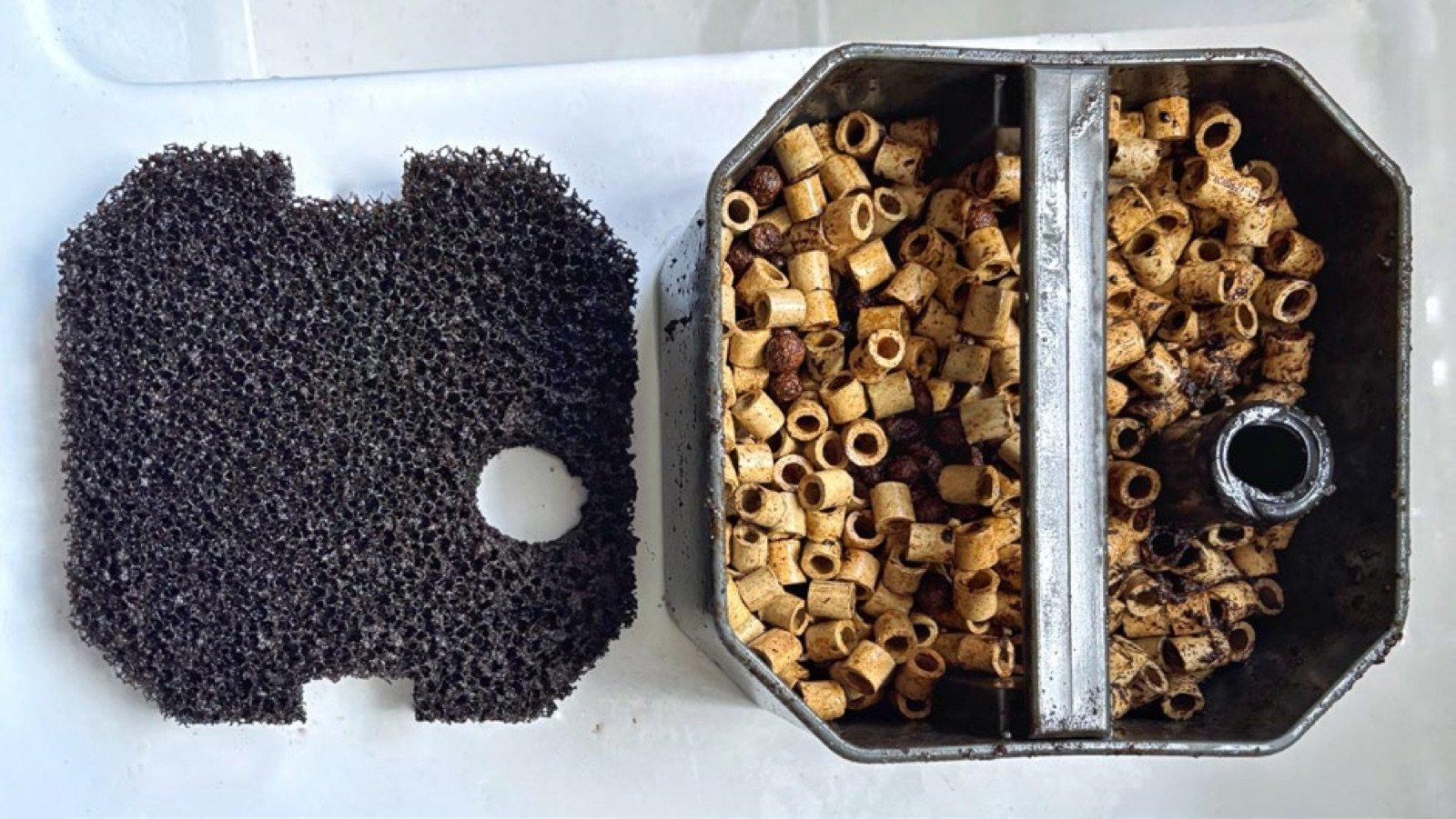 Médias biologiques placés après la mousse de filtration mécanique