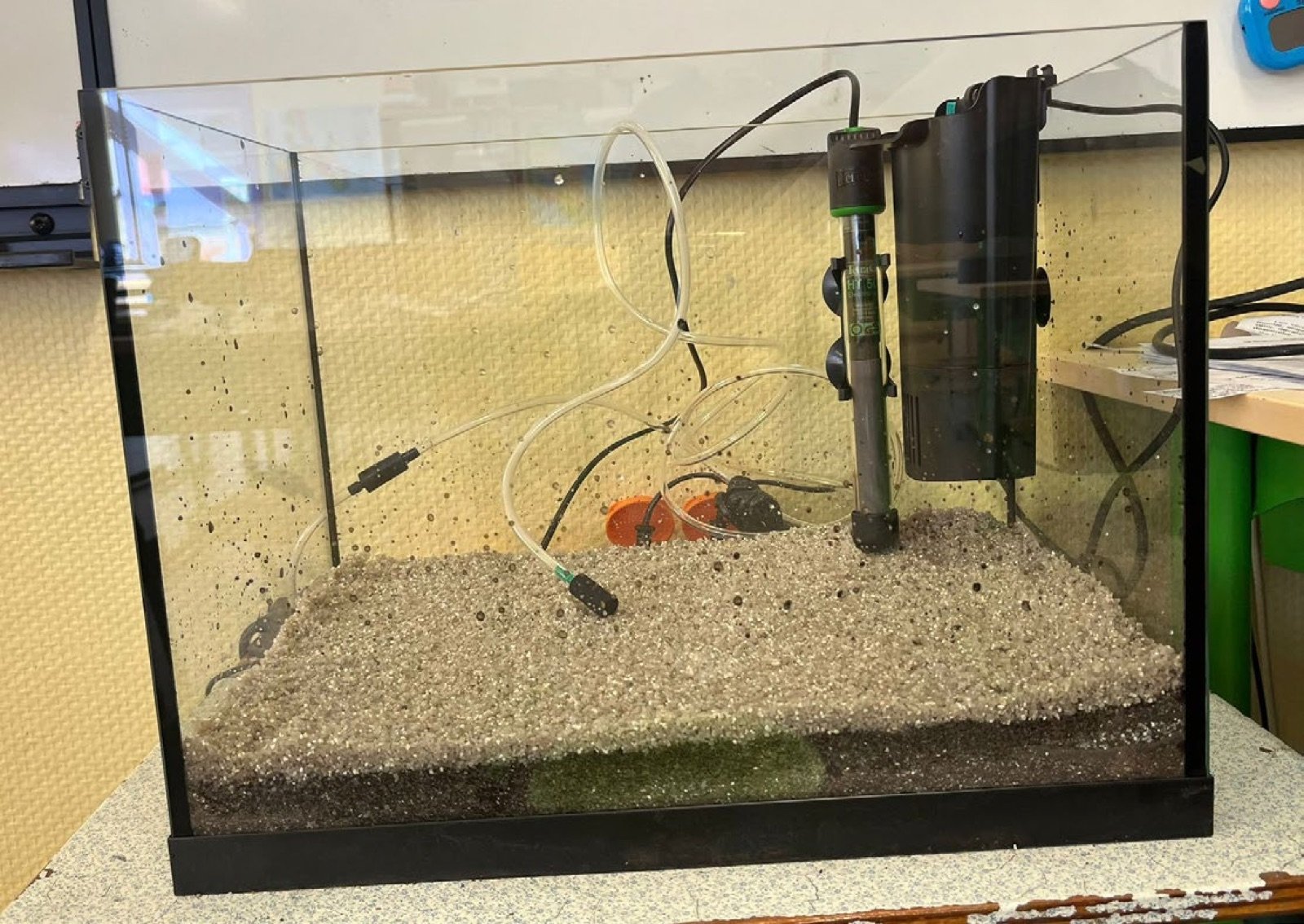 Mise en place du décor et des éléments techniques dans l'aquarium 30 litres