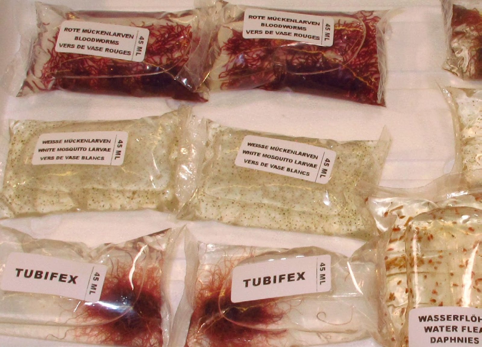 Assortiment de nourritures vivantes conditionnées pour l'aquariophilie