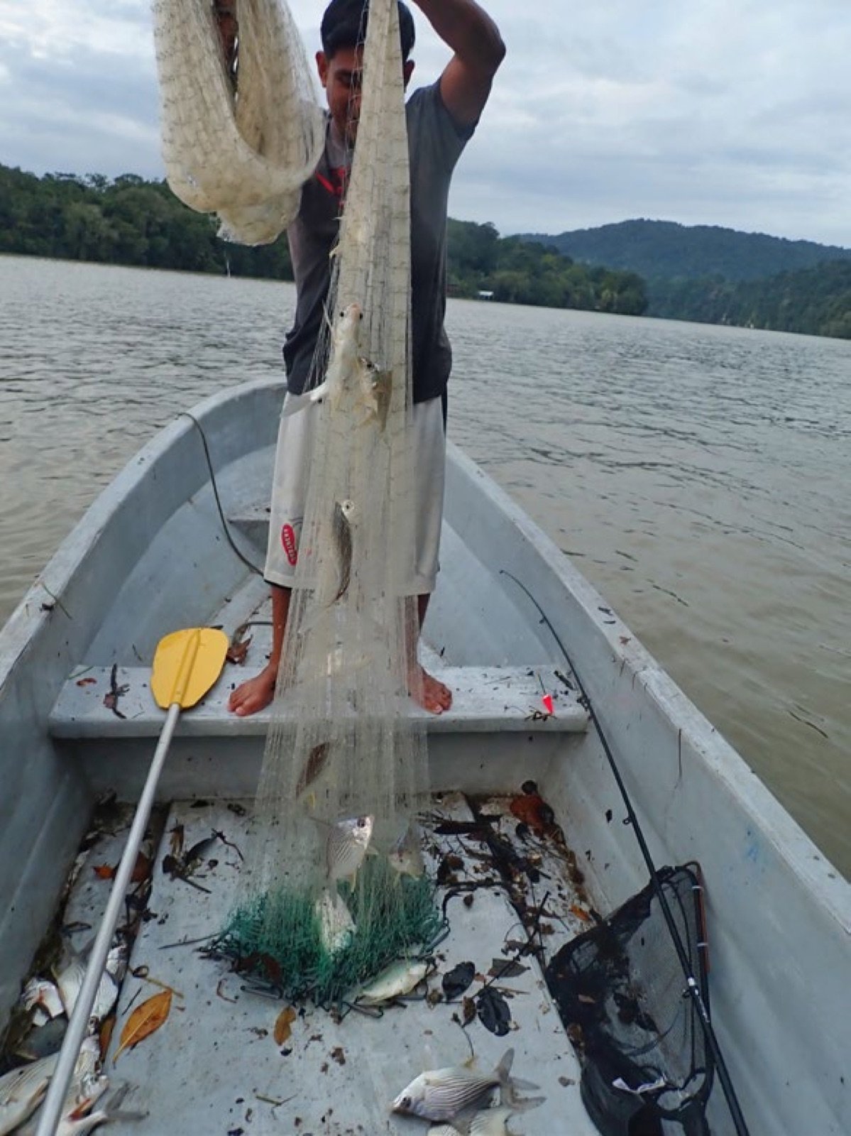Pêche à l'épervier sur le rio Dulce