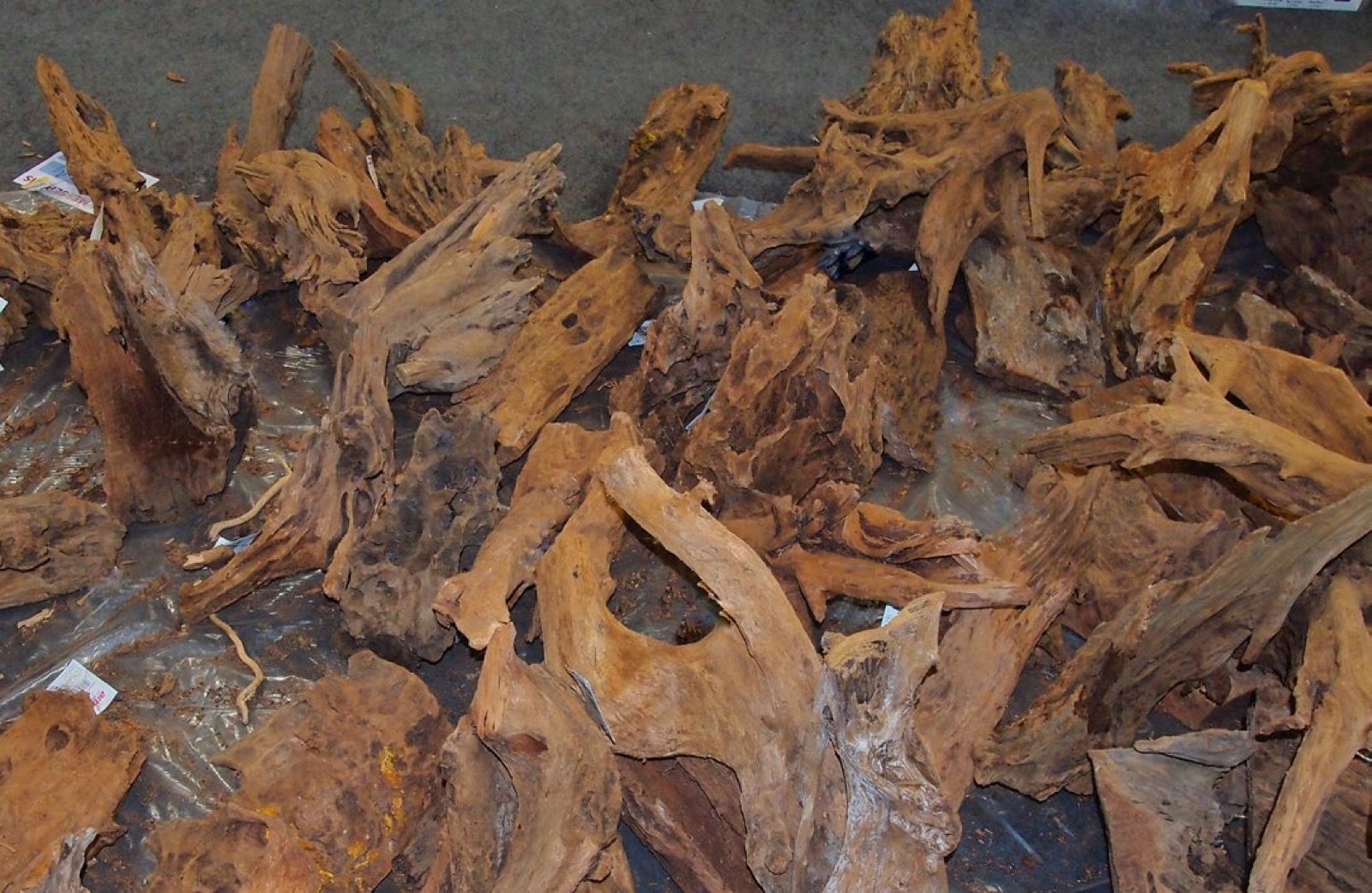 Assortiment de racines pour aquarium