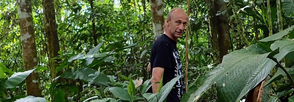 Végétation dense de la forêt amazonienne sur le chemin du Rio Chumbyacu