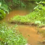 Petit ruisseau dans l'Amazonie péruvienne près de Puerto Maldonado