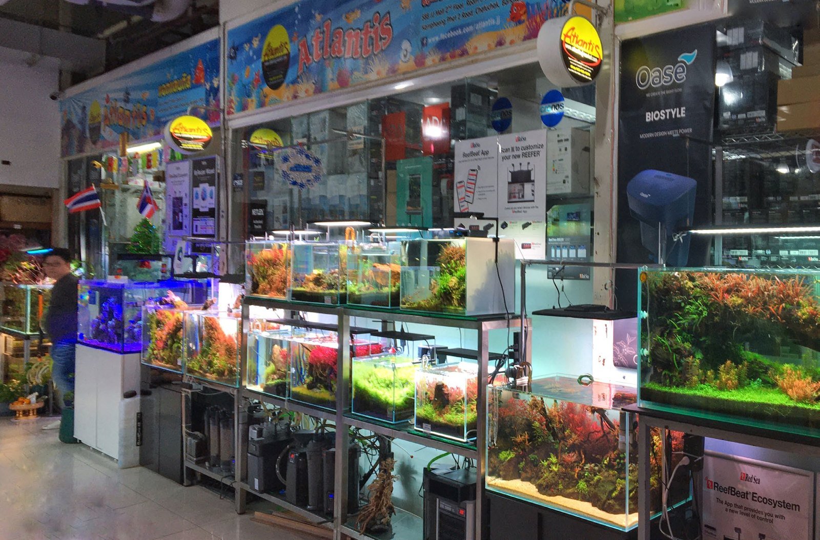 Stand Atlantis au JJ Mall de Bangkok, aquariums plantés en exposition