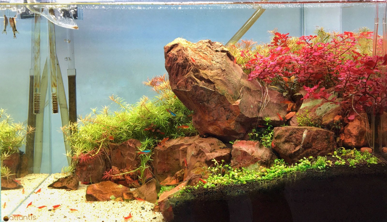 Aquarium de 64 litres à décor rocheux et terrasse haute