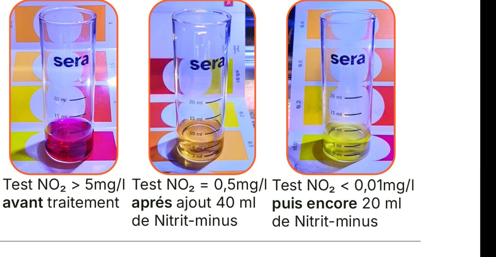 Trois éprouvettes du test nitrites : avant traitement (>5 mg/l), après 40 ml de Nitrit-minus (0,5 mg/l) puis après 20 ml supplémentaires (<0,01 mg/l)