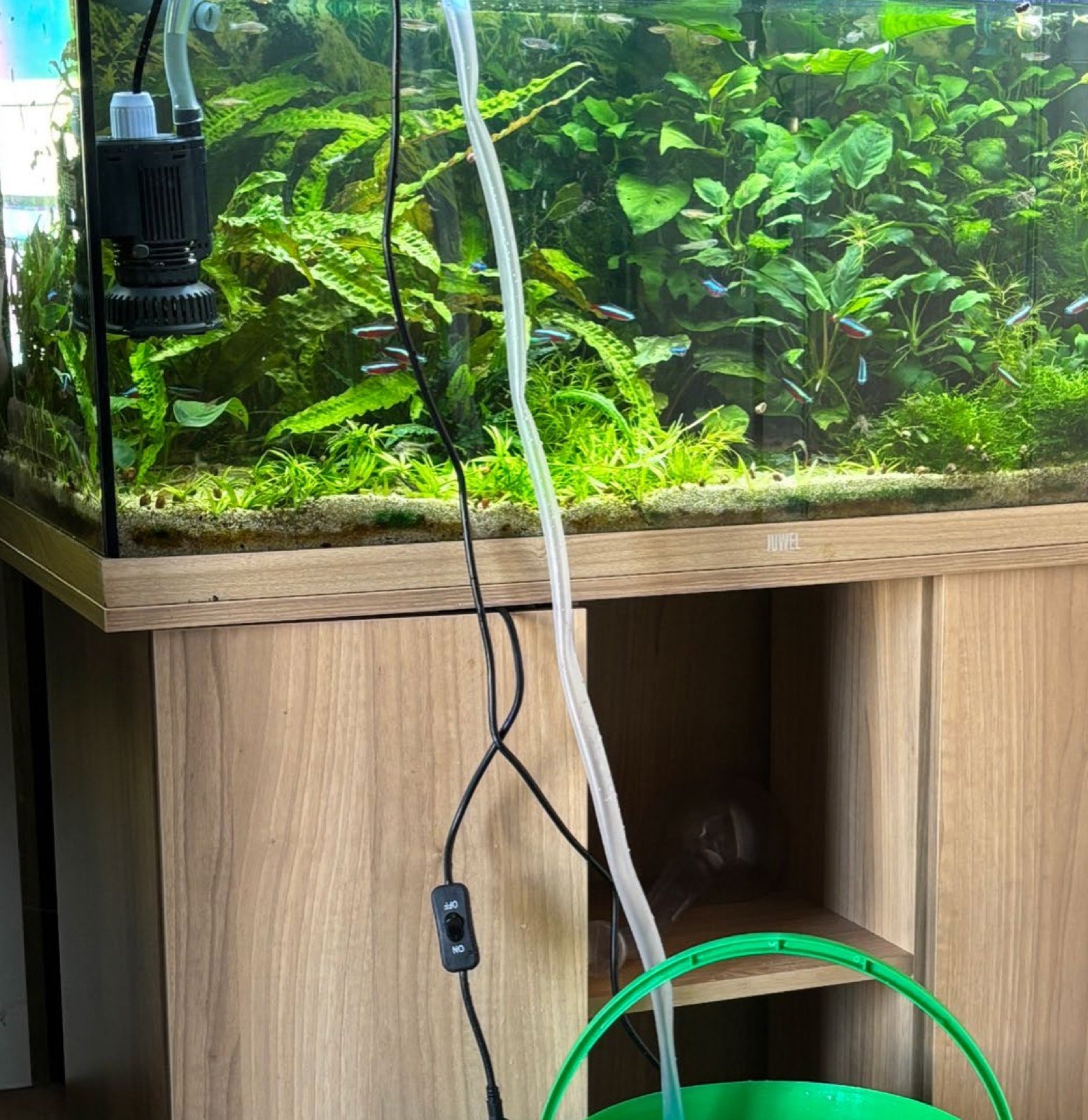 Aquarium planté en cours de vidange avec la Terra Pump et un seau vert