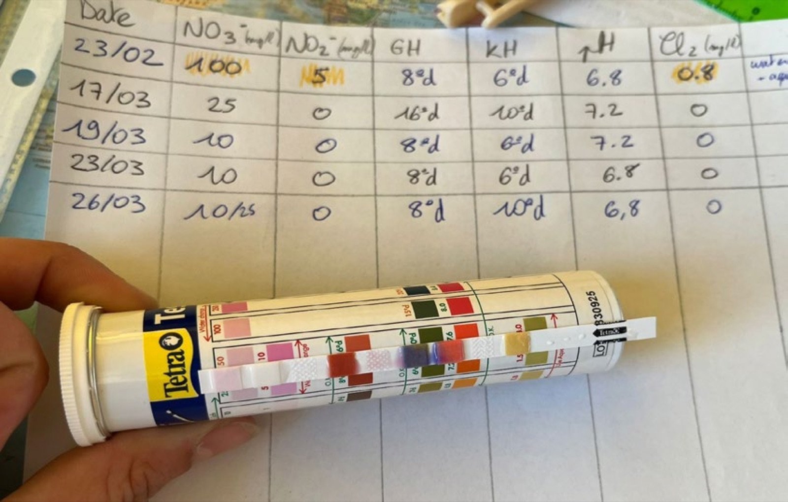 Tests des paramètres de l'eau de l'aquarium en classe