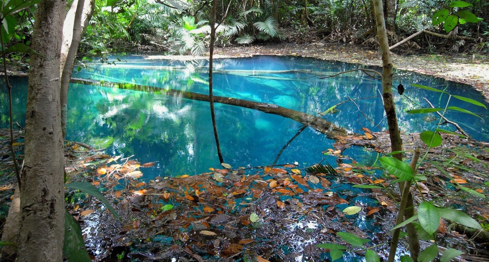Trou bleu de Tha Pom, eau turquoise au milieu de la végétation luxuriante