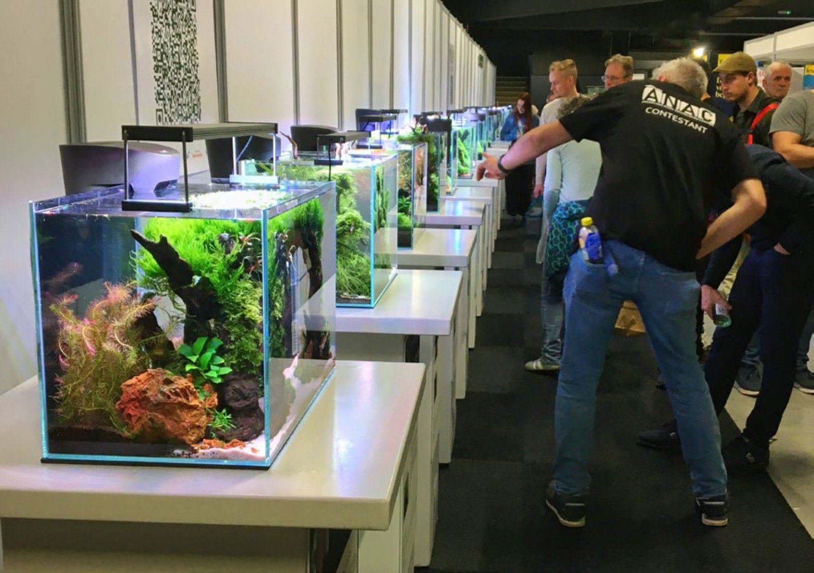 Le concours d’aquascaping organisé par Aquaflora