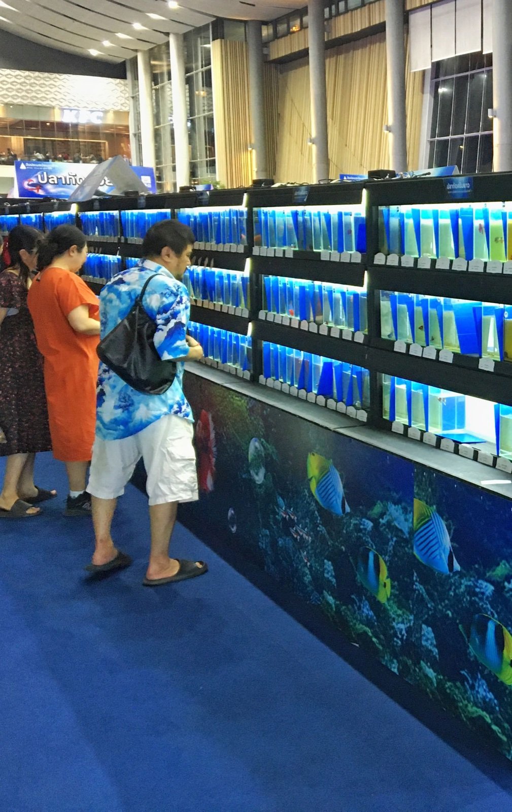 Fishtival 2025, une exposition aquariophile en Thaïlande