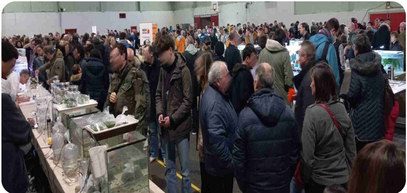 La bourse aquariophile de l'ARA91 à Ris-Orangis