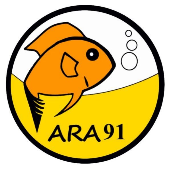 Logo de l'ARA91