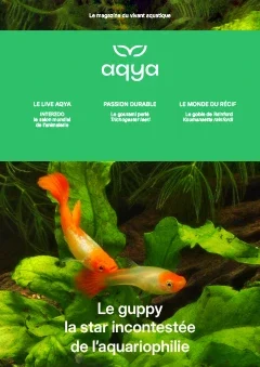 COUVERTURE-Aqya-magazine-N6