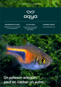 magazine N°1 Aqya